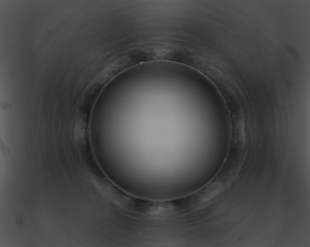 X0000090990274200708021529