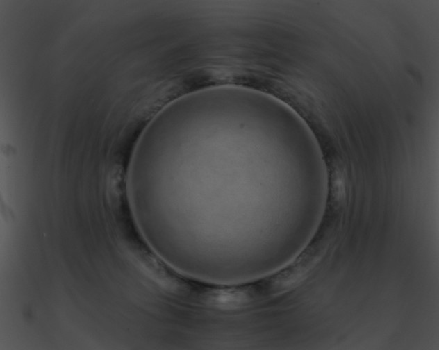 X0000090990275200708021529