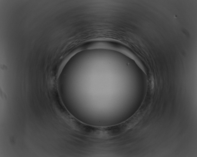 X0000090990276200708021529