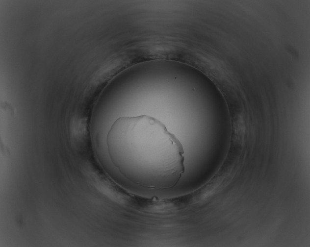X0000090990278200708021529