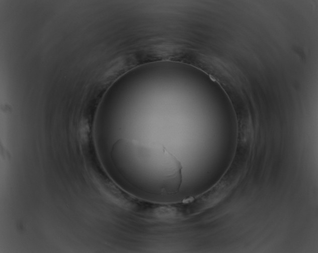X0000090990279200708021529
