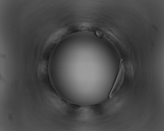 X0000090990280200708021529