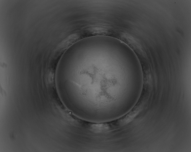 X0000090990281200708021529
