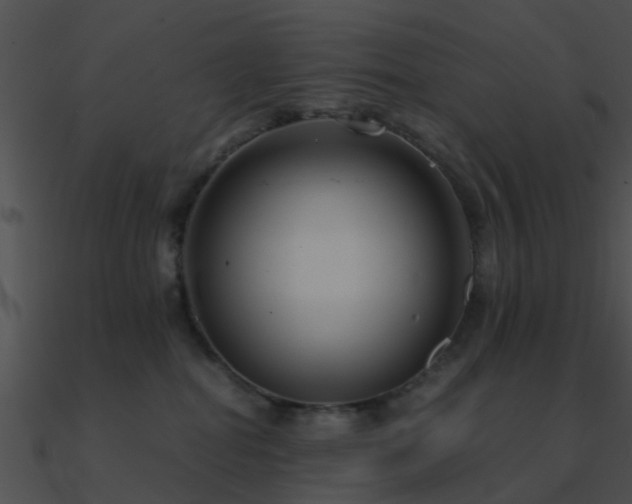 X0000090990282200708021529