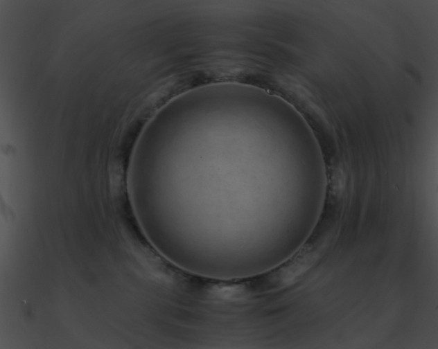X0000090990283200708021529