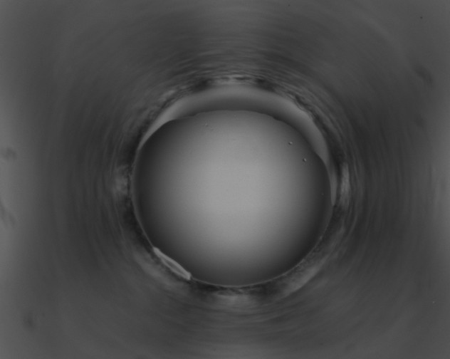 X0000090990284200708021529