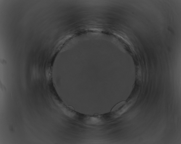 X0000090990285200708021529