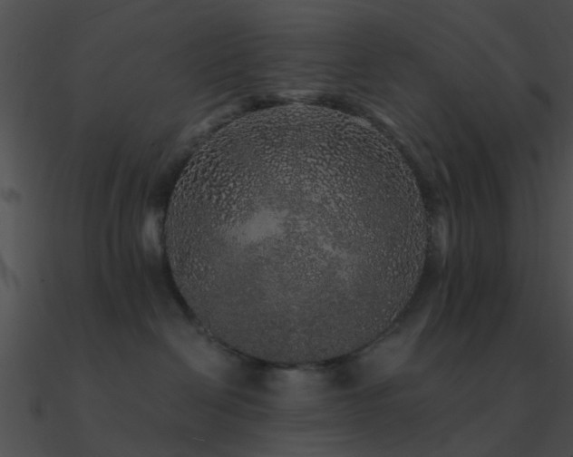 X0000090990286200708021529