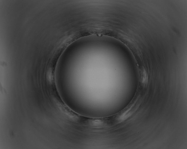X0000090990287200708021529