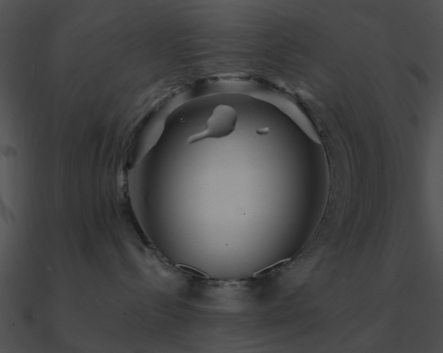 X0000090990288200708021529