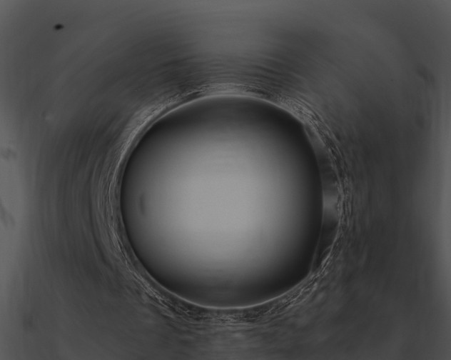 X0000090990289200708021528