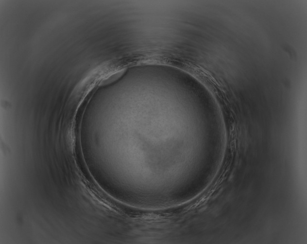 X0000090990290200708021528