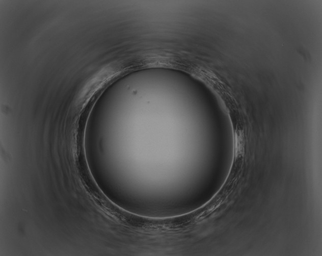 X0000090990291200708021528