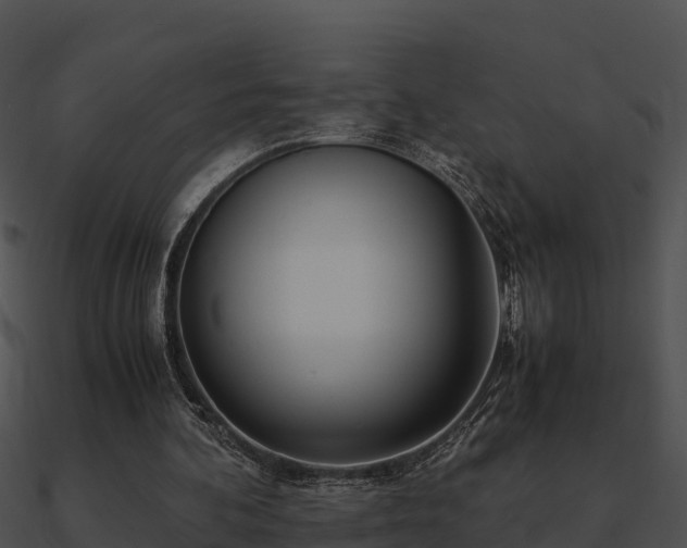 X0000090990292200708021528