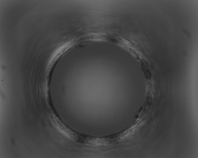 X0000090990293200708021528