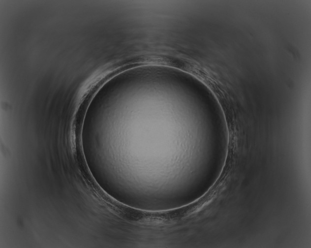 X0000090990294200708021528