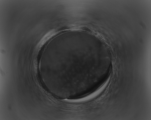 X0000090990295200708021528