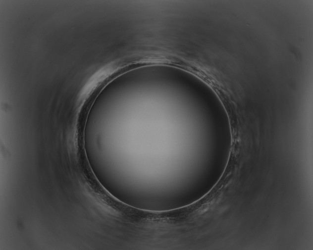 X0000090990296200708021528