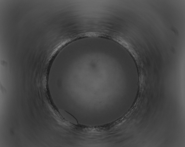 X0000090990297200708021528