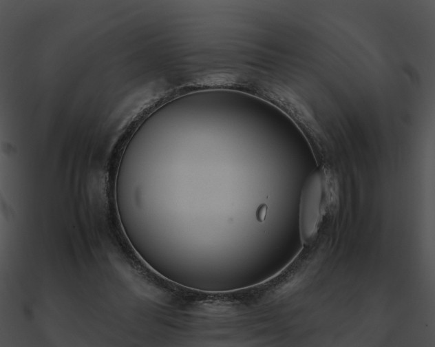 X0000090990300200708021528