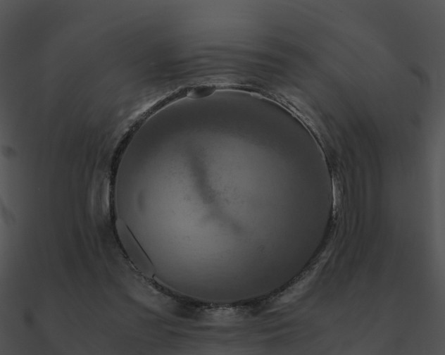 X0000090990301200708021528