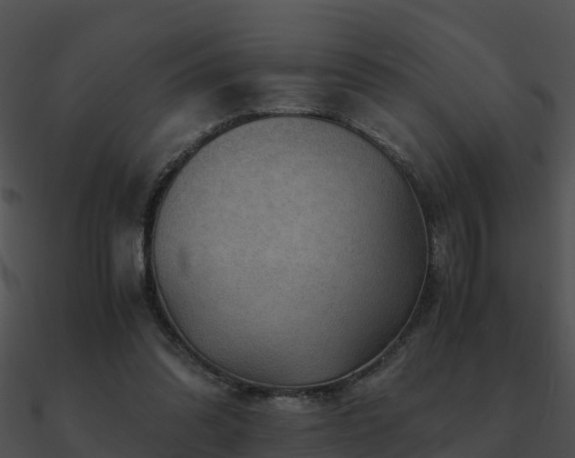 X0000090990302200708021528