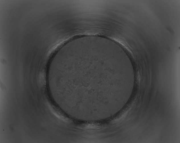 X0000090990303200708021528