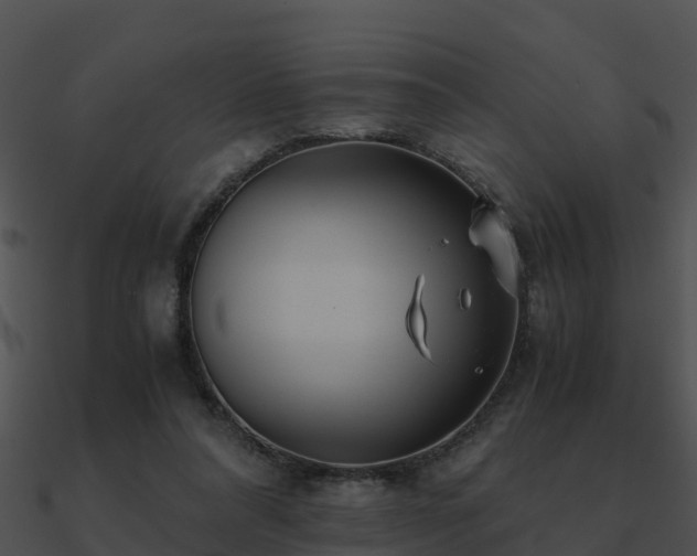 X0000090990304200708021528