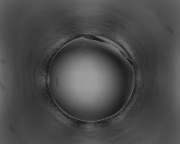 X0000090990305200708021528