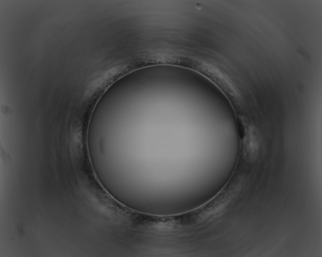 X0000090990306200708021528