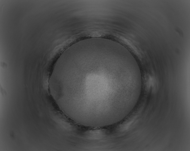 X0000090990307200708021528