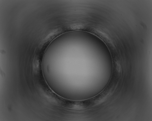 X0000090990308200708021528