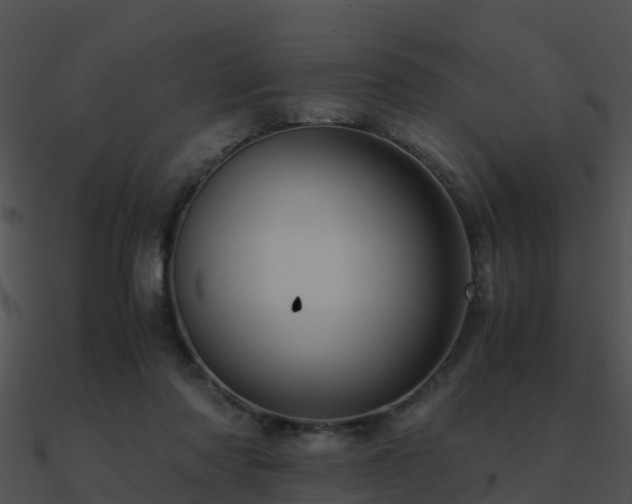 X0000090990310200708021528