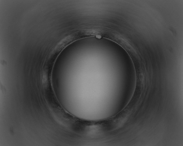 X0000090990312200708021528