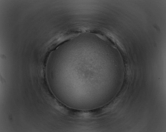 X0000090990313200708021528