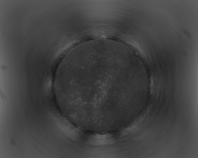 X0000090990314200708021528