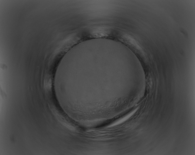 X0000090990315200708021528