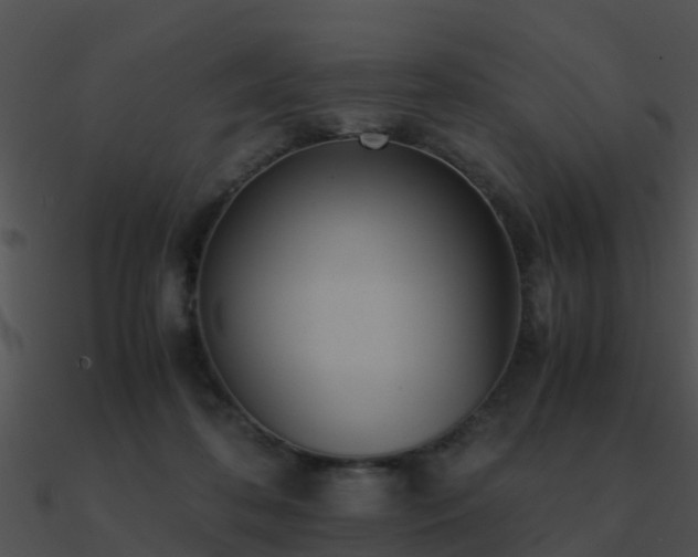 X0000090990316200708021528