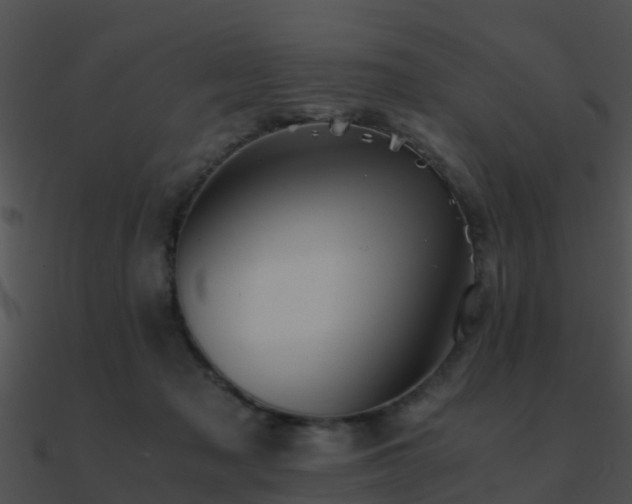 X0000090990317200708021528