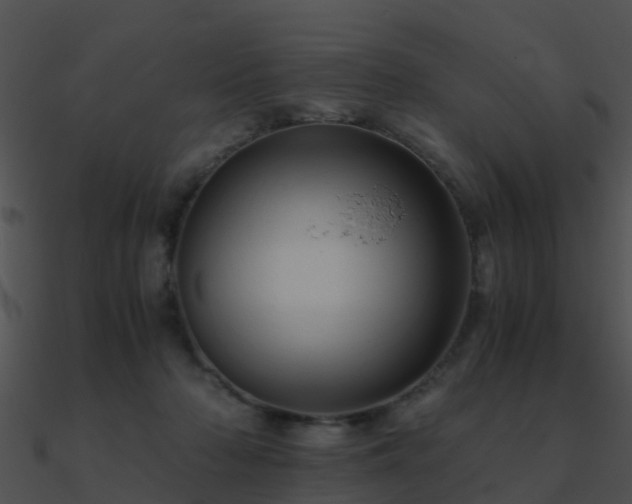 X0000090990318200708021528