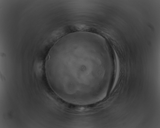 X0000090990319200708021528