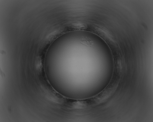 X0000090990320200708021528