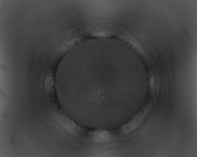 X0000090990322200708021528