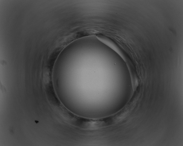 X0000090990323200708021528