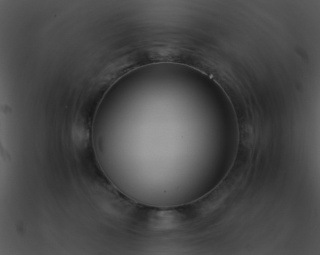 X0000090990324200708021528
