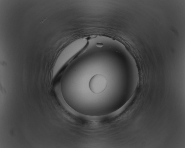 X0000090990325200708021528