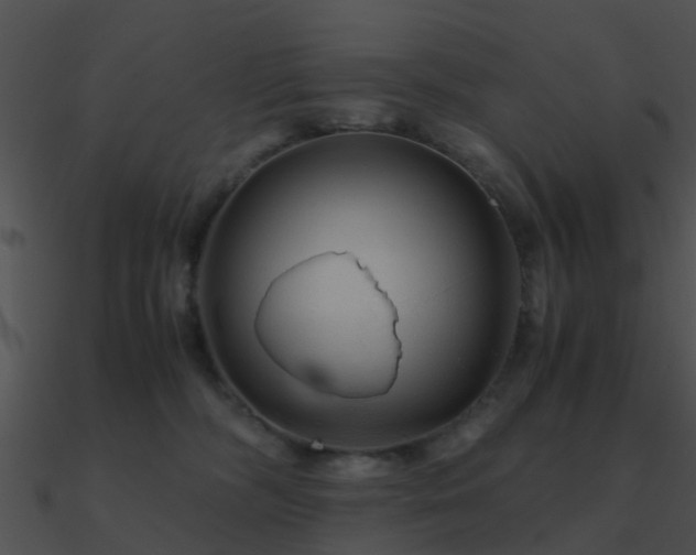X0000090990326200708021528