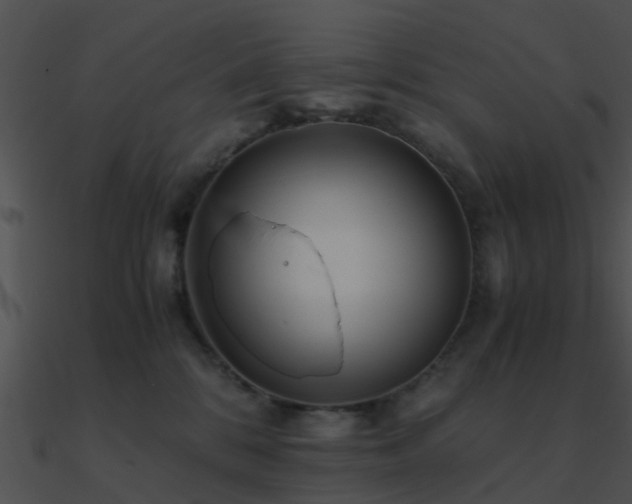 X0000090990328200708021528