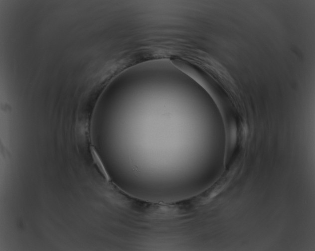 X0000090990329200708021528