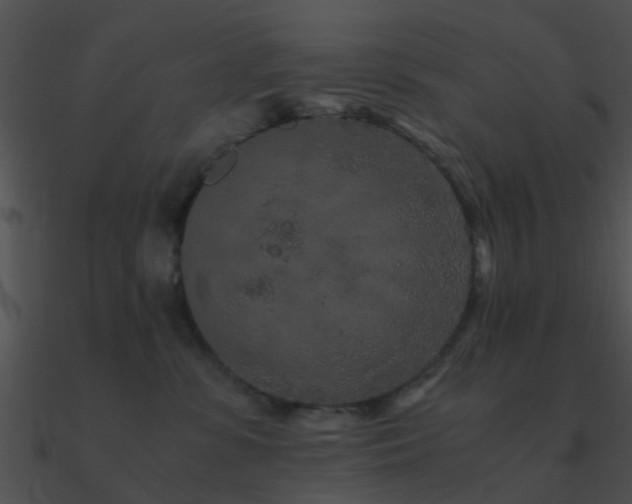 X0000090990331200708021528